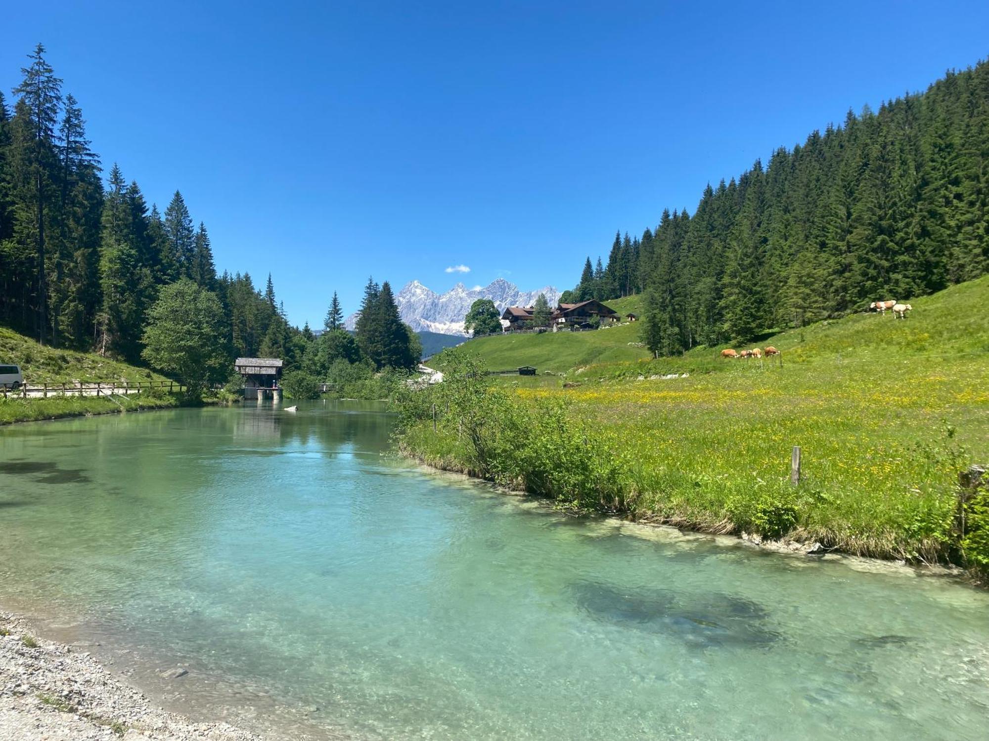 Appartements By Chalet Reiteralm -Sommercard Schladming Dış mekan fotoğraf