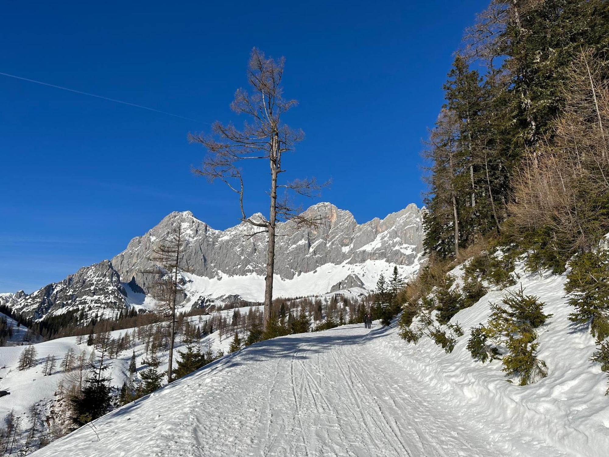 Appartements By Chalet Reiteralm - Ski In Ski Out Schladming Dış mekan fotoğraf